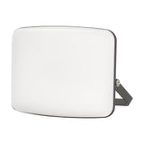 LED reflektor RETLUX RSL 252 10W